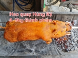 Khởi công thuận lợi khi đặt heo cúng động thổ đầy đủ lễ nghĩa