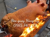 Lý Do Heo Quay Được Chọn Làm Món Chính Trong Tiệc Tất Niên Công Ty