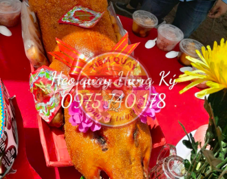 Heo Quay Cúng Tất Niên Quận Gò Vấp