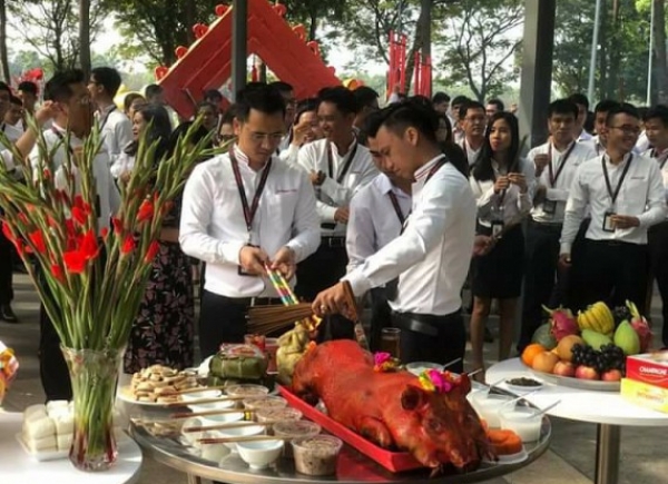 Heo Quay Cúng Tất Niên Công Ty 