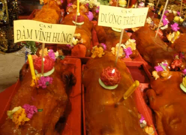 Heo Quay Cúng Tổ Ngành (HK3)